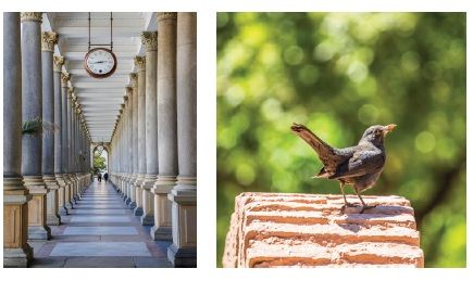 El pasado viernes 13 de septiembre se inauguró la exposición fotográfica “Alcazaba”